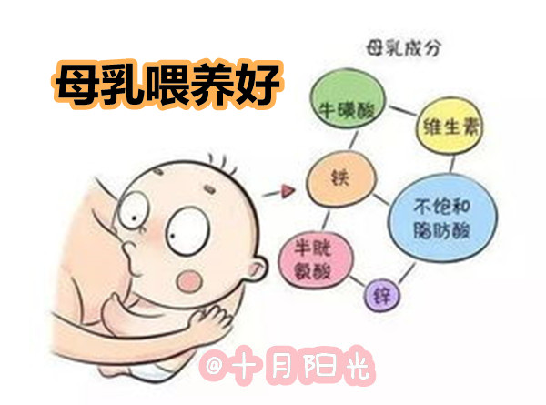 催乳培训机构排名 - 全国好的催乳师培训中心(图3)